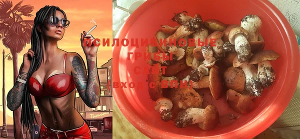 дурь Верея
