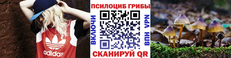Псилоцибиновые грибы Psilocybe  Купить  Заозёрск 